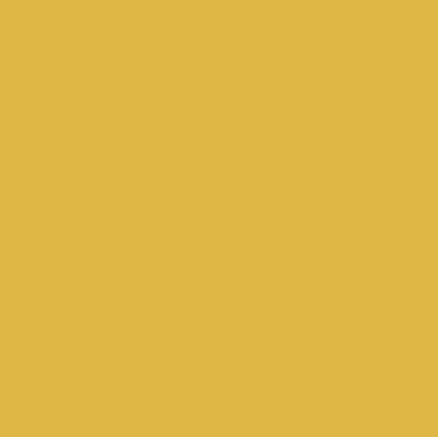 E4B81A_deep yellow